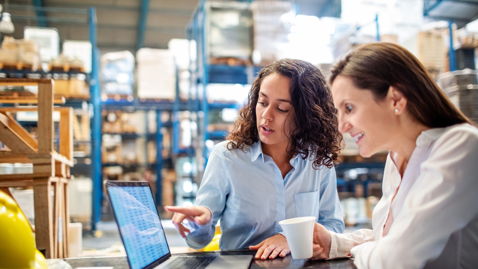 Two women collaborating on computer. 