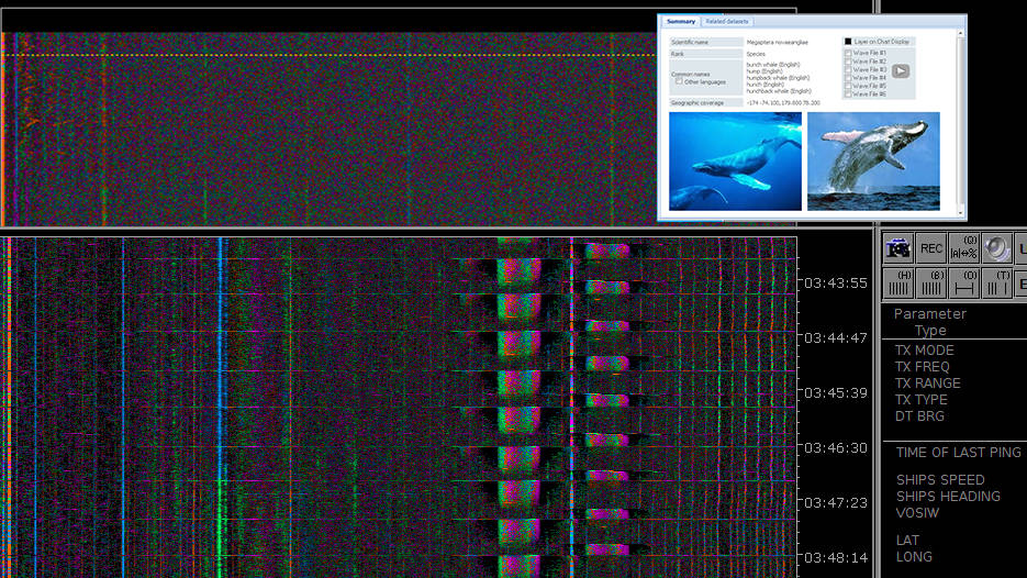 Wideband Intercept Sonar